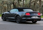 черный Форд
 Mustang EcoBoost Convertible V4 2019